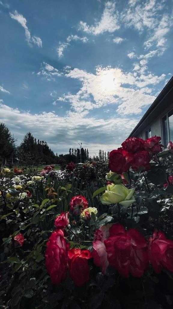 Tri Korony Otel Çolpan Ata Dış mekan fotoğraf