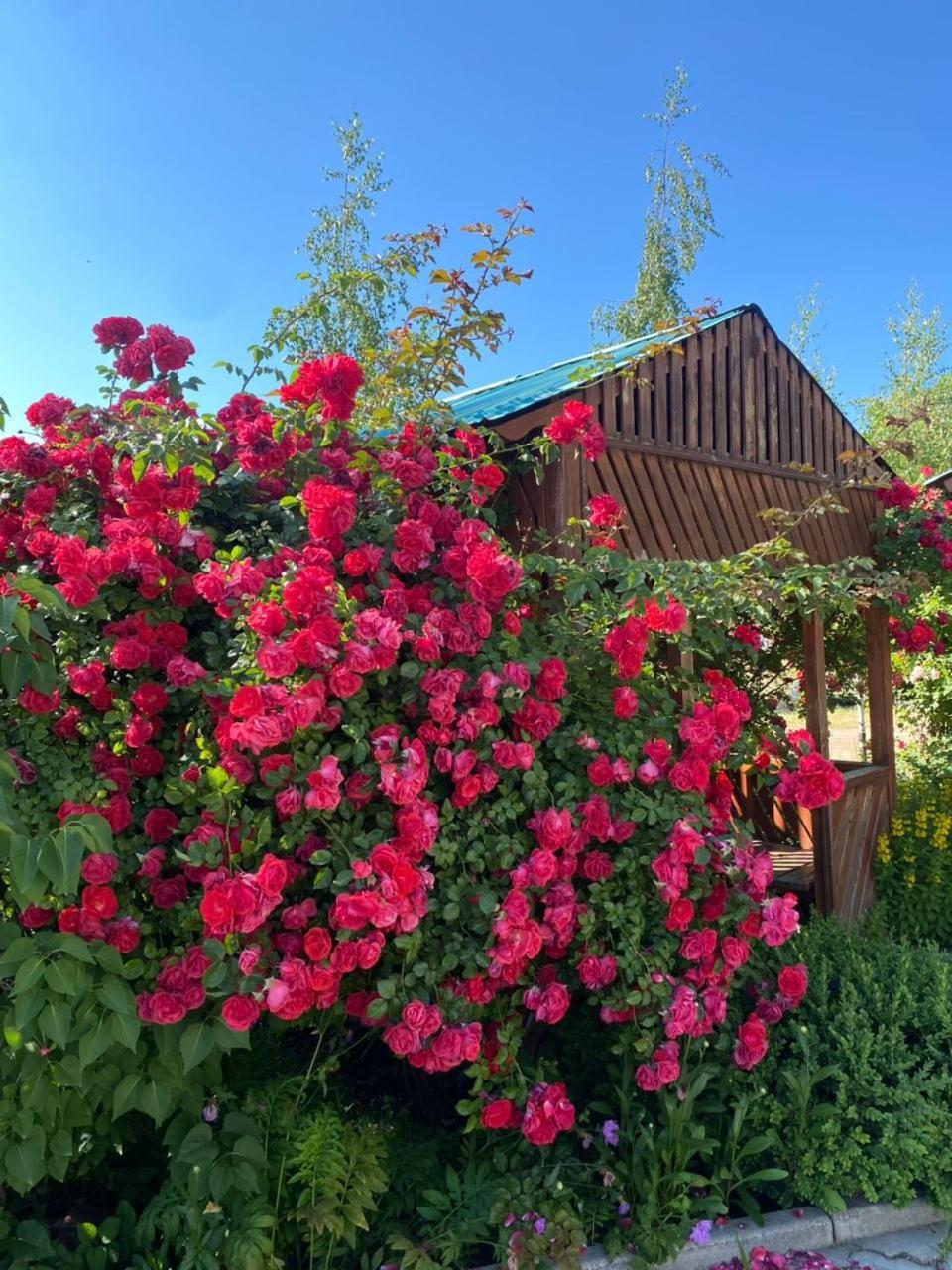Tri Korony Otel Çolpan Ata Dış mekan fotoğraf